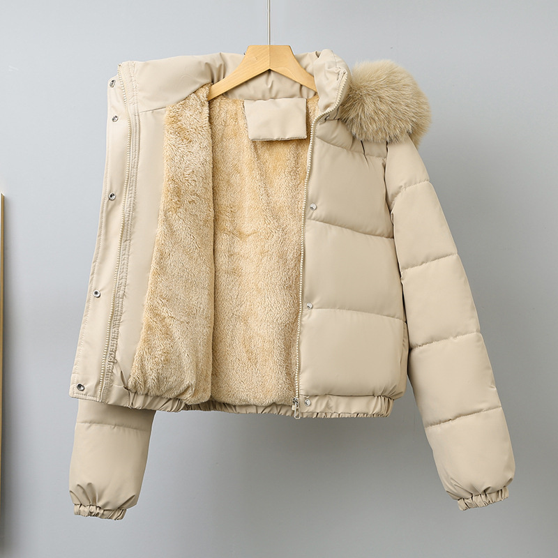 Wool Coat Peacoat - Kış Kısa Parkas kadın Pamuk-yastıklı Giysiler