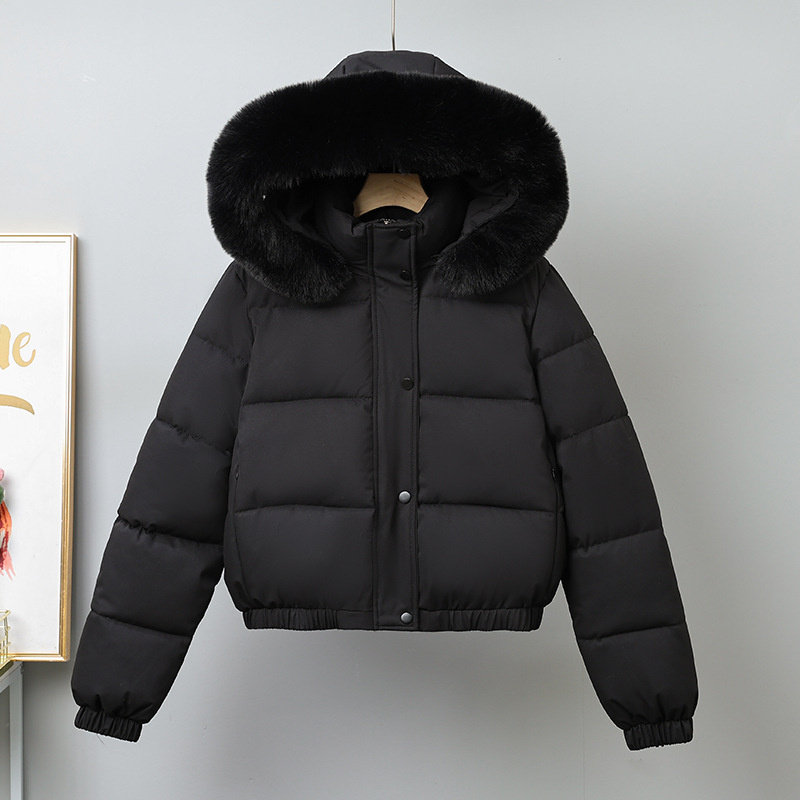 Kış Kısa Parkas kadın Pamuk-ya - Wool Coat Peacoat incelemesi ve fiyatı