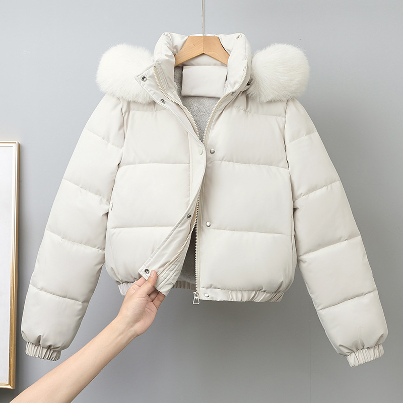 Kış Kısa Parkas kadın Pamuk-ya - Wool Coat Peacoat incelemesi ve fiyatı