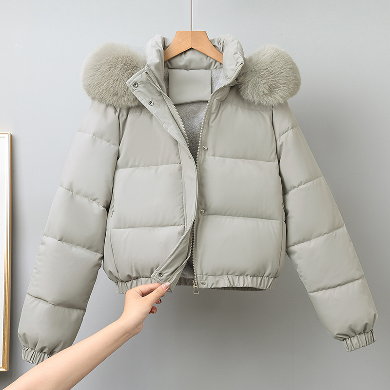 Kış Kısa Parkas kadın Pamuk-ya - Wool Coat Peacoat incelemesi ve fiyatı